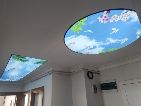 خدمات ,تركيب, وتصنيع, الأسقف, المشدودة في, إسط